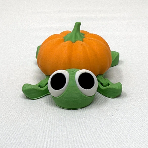 Baby Turtle with Pumpkin Shell Decoration
